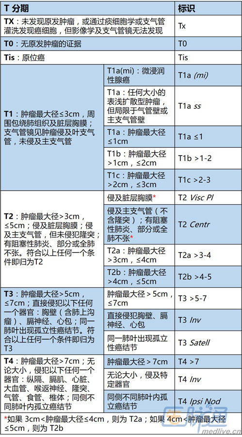 肺癌最新分期解析，影响与意义深度探讨