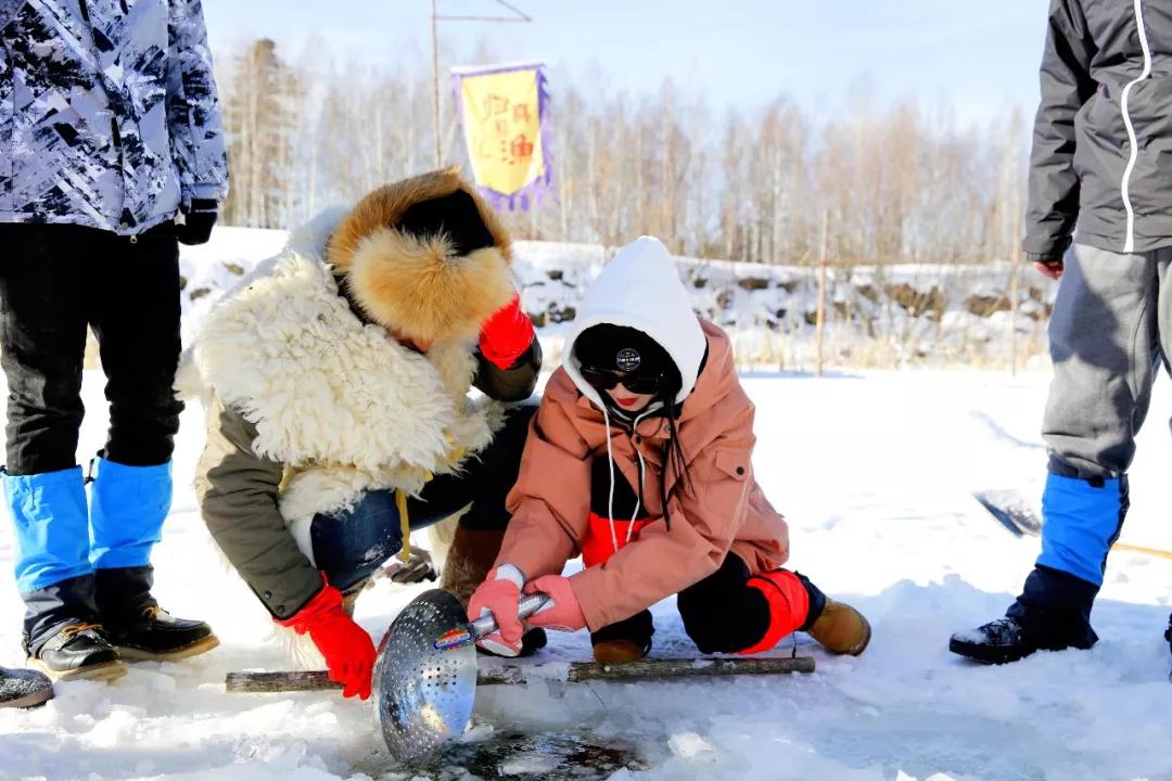 新雪国探索未知领域，全新篇章揭秘最新消息