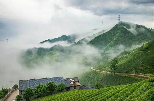 湖北最新免票景区探秘，美丽风景线的发现之旅